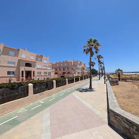 Livingtarifa Salsa